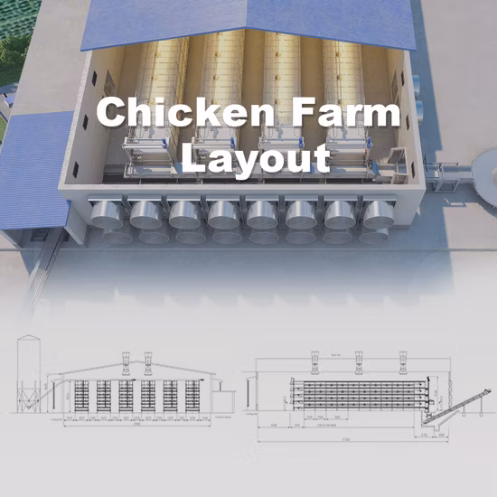 Automatic electric Chicken House Cleaner with Manure Belt